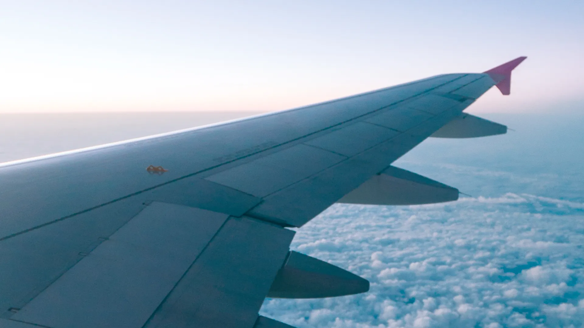Indian Businesses in Dubai - Flight